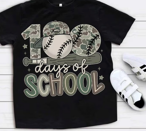 100 Days Baseball